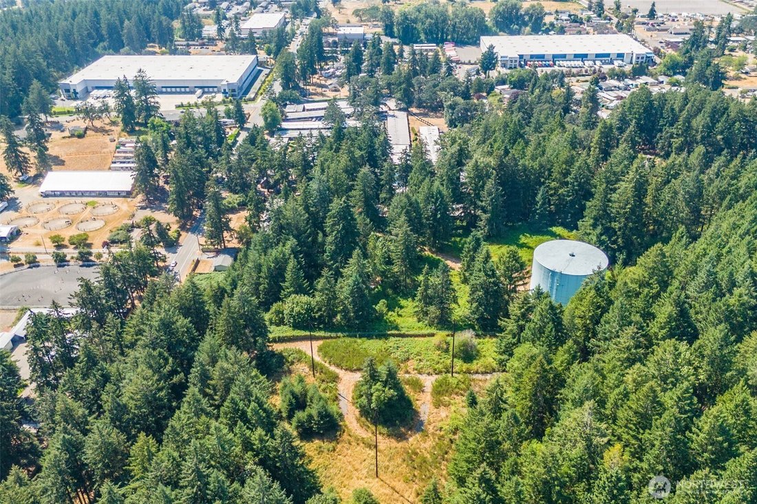 House in Lakewood, Washington, United States 5 - 18663288