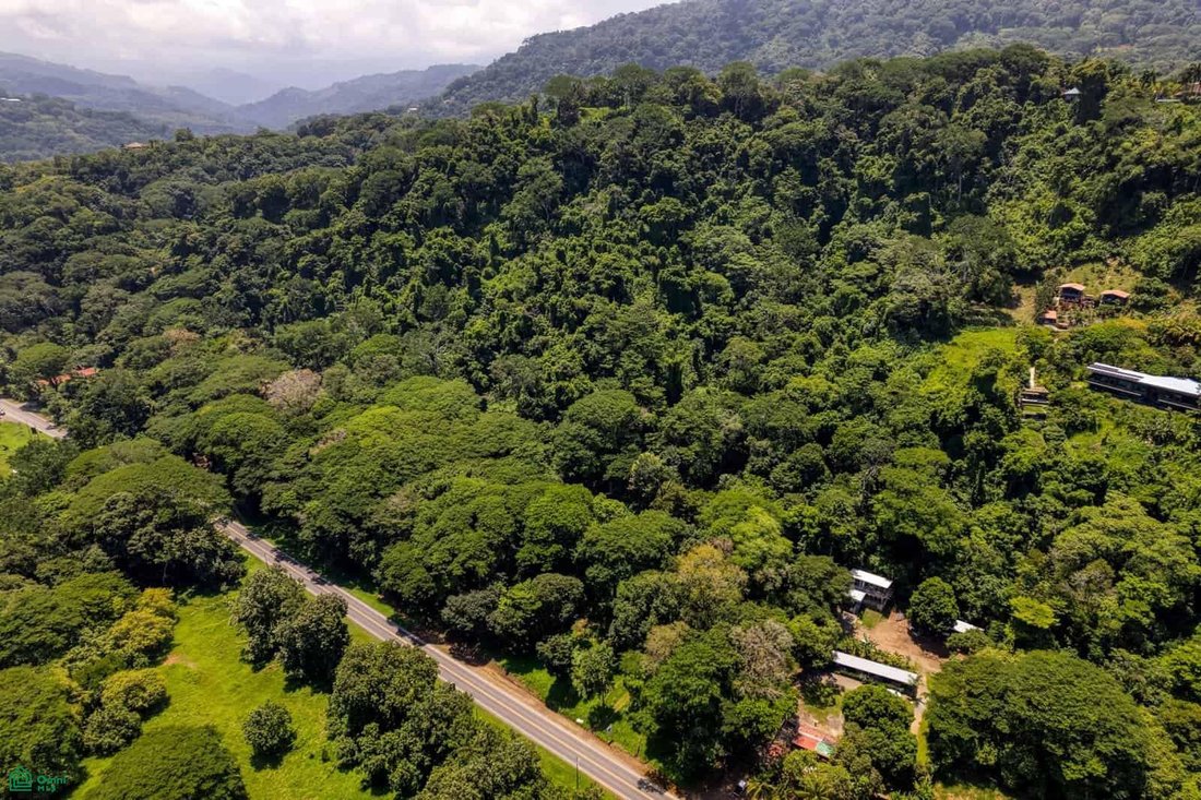 Land in Savegre de Aguirre, Puntarenas Province, Costa Rica 4 - 18665819
