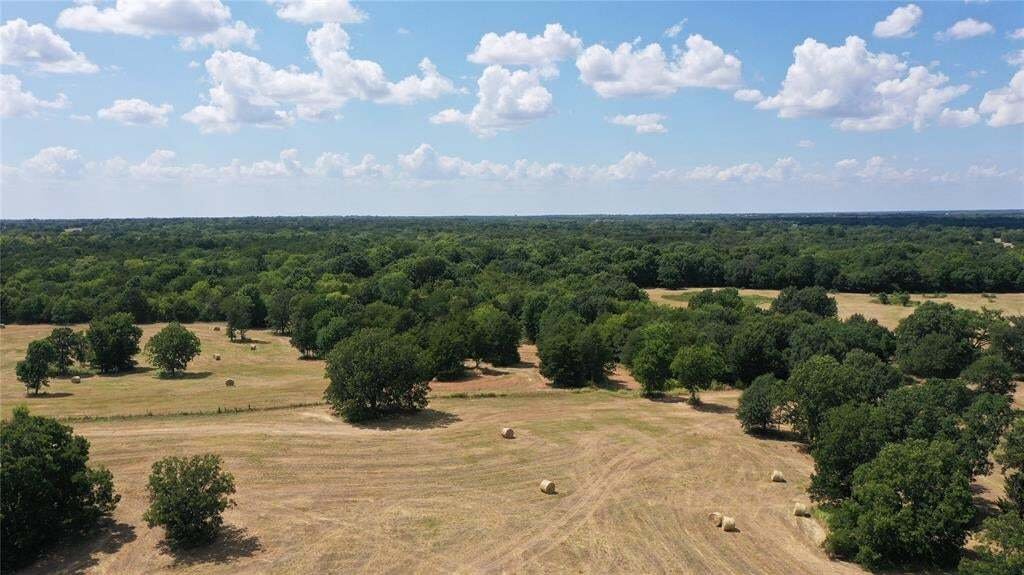 Farm Ranch in Celeste, Texas, United States 4 - 17952232