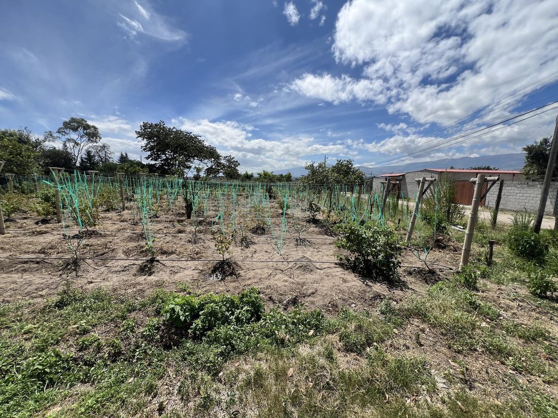 Farm Ranch in Quito, Pichincha, Ecuador 4 - 18661710