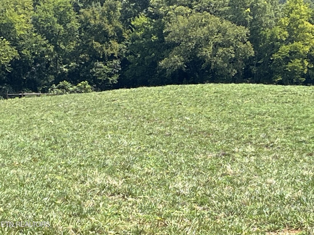 Land in Delano, Tennessee, United States 3 - 18672987