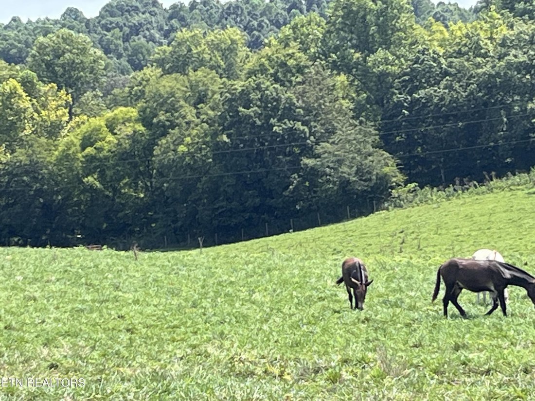 Land in Delano, Tennessee, United States 4 - 18672987