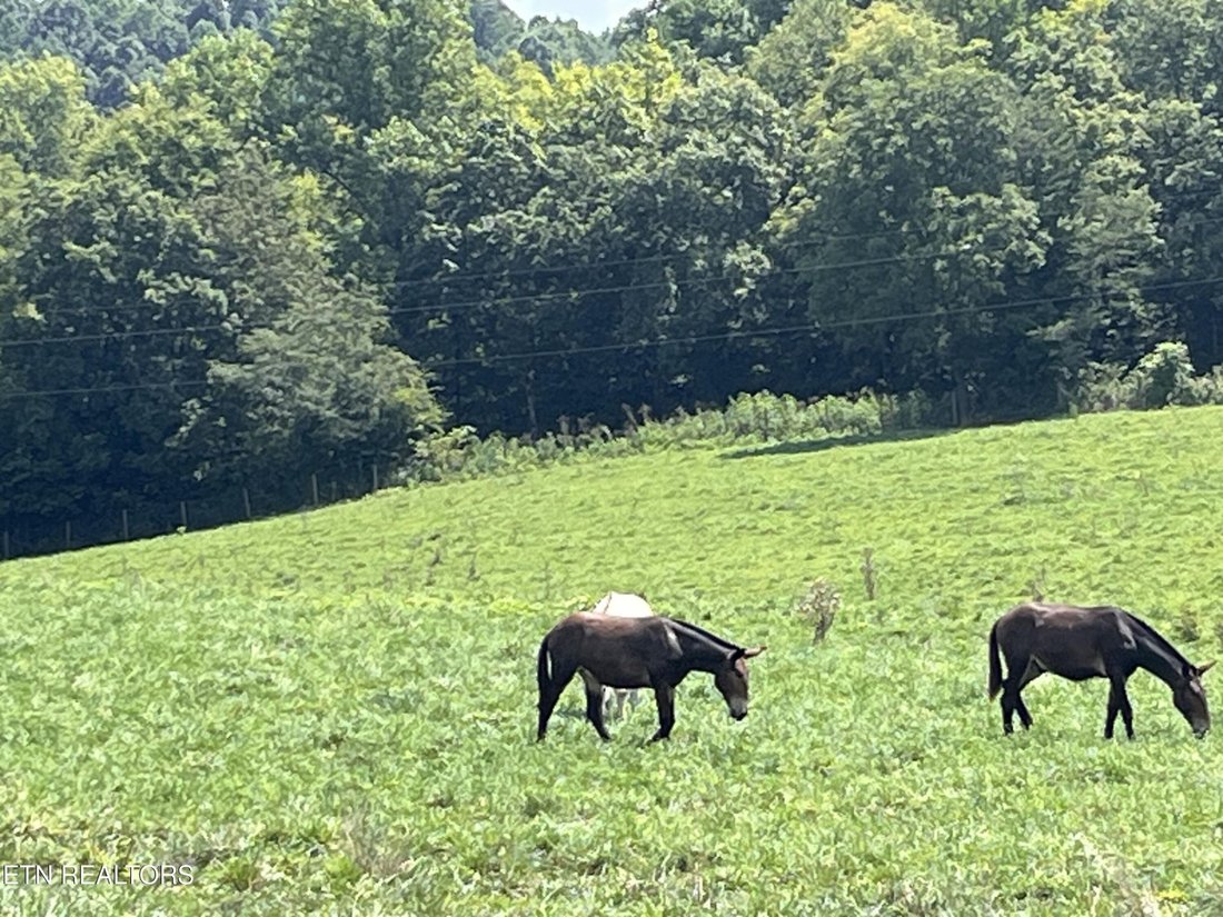 Land in Delano, Tennessee, United States 2 - 18672987