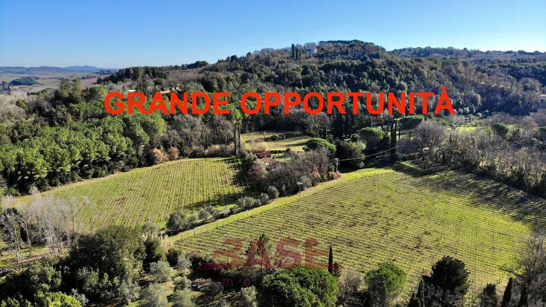 Estate in Montescudaio, Tuscany, Italy 1 - 18673460