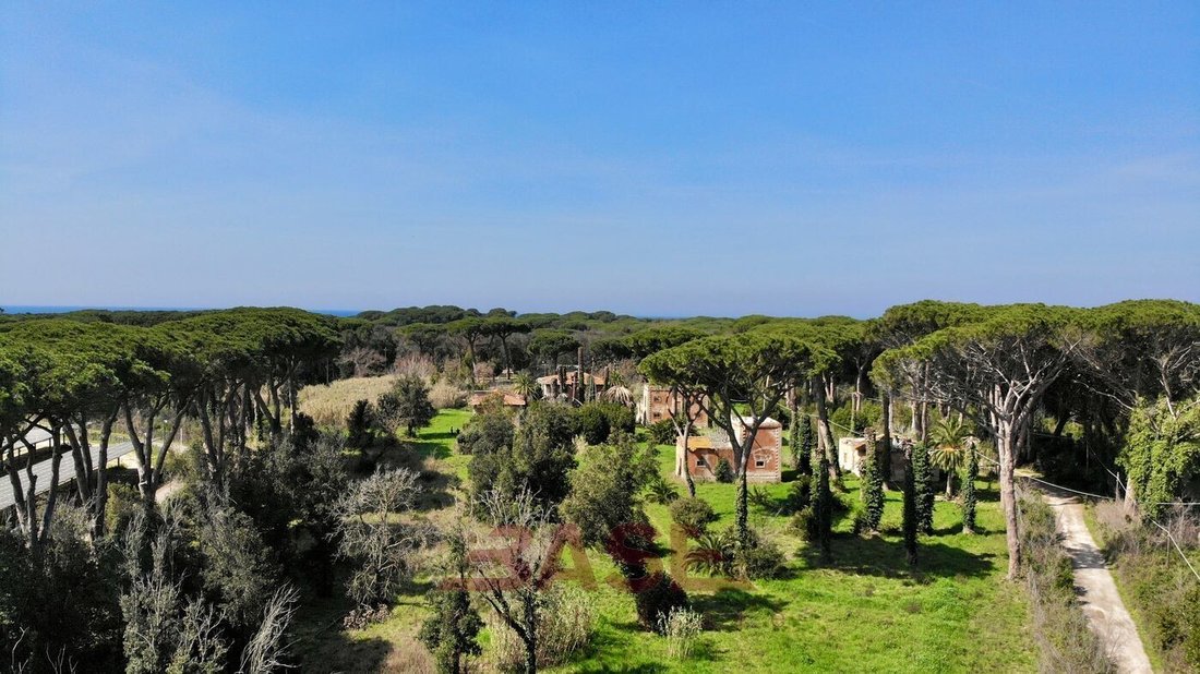 Estate in Castagneto Carducci, Tuscany, Italy 4 - 18673470