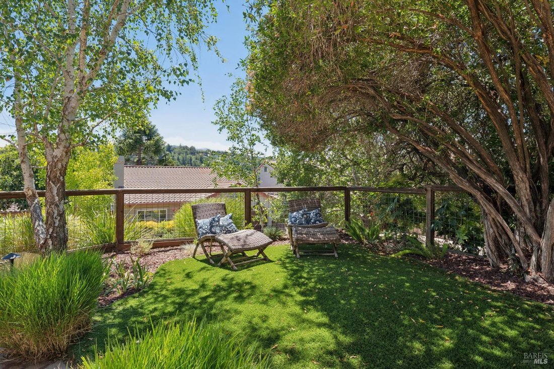 House in San Rafael, California, United States 4 - 18673141