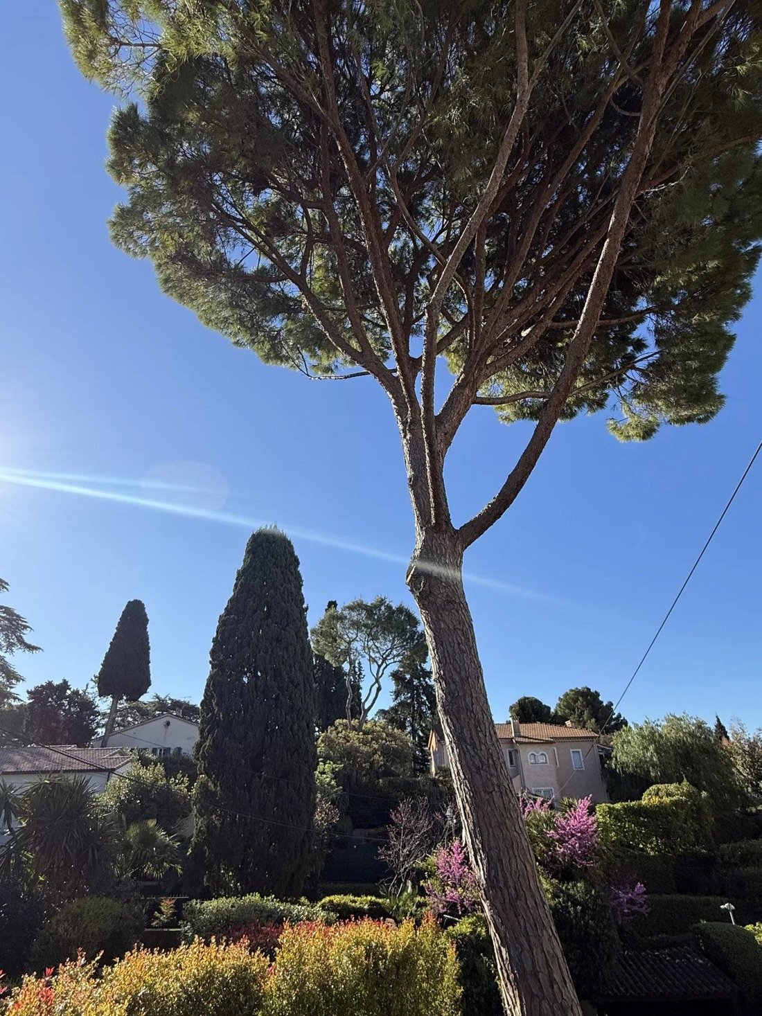 Apartment in Cannes, Provence-Alpes-Côte d'Azur, France 1 - 17707433