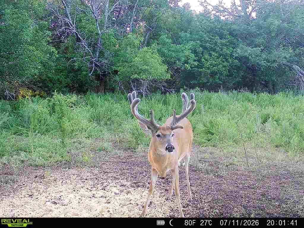 Land in Admire, Kansas, United States 5 - 18673539