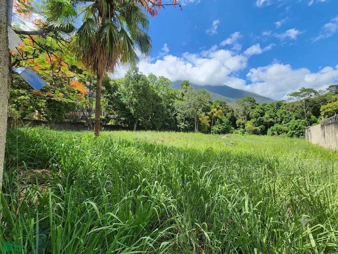 Terrain en Caracas, Miranda, Venezuela 3 - 17814528