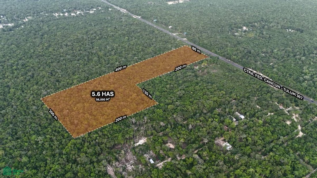 Terreno en La Bendición de Dios, Quintana Roo, México 4 - 17804350