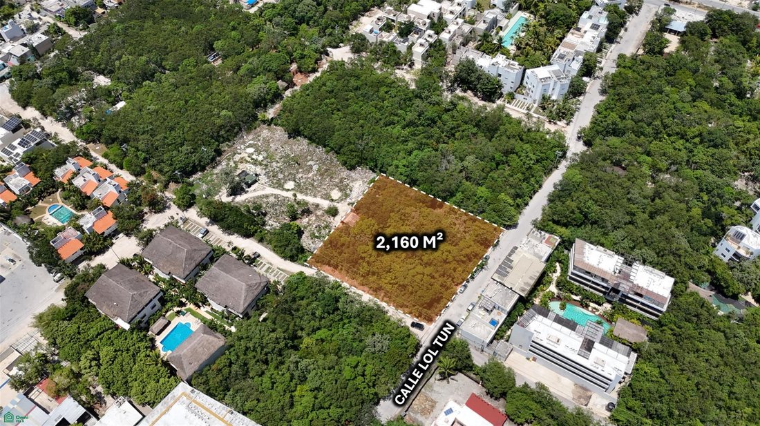 Terrain à Alma Tulum Hotel, Quintana Roo, Mexique 2 - 17804347