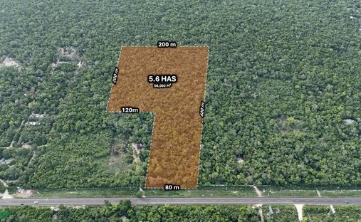 Land in La Bendición de Dios, Quintana Roo, Mexiko 1