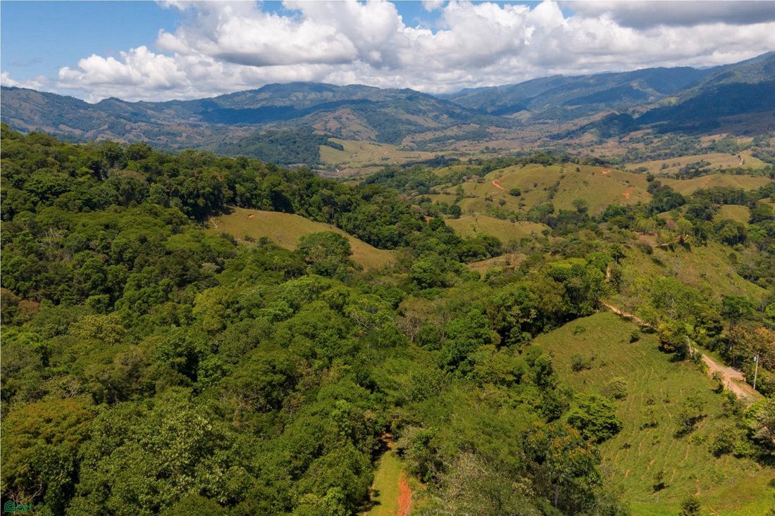 Land in Barú, Pérez Zeledón, Costa Rica 1 - 18517240