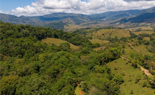 Terreno in Barú, Cantone di Pérez Zeledón, Costa Rica 1