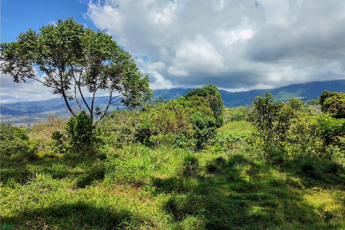 Land in Barú, Pérez Zeledón, Costa Rica 4 - 18517240