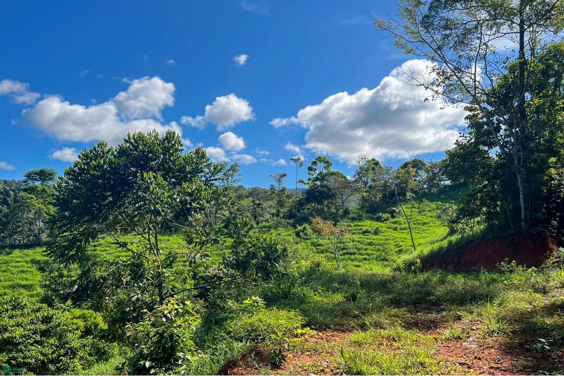 Land in Barú, Pérez Zeledón, Costa Rica 2 - 18517240