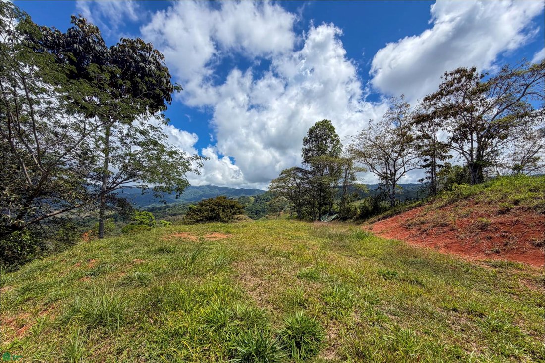 Land in Barú, Pérez Zeledón, Costa Rica 5 - 18517240