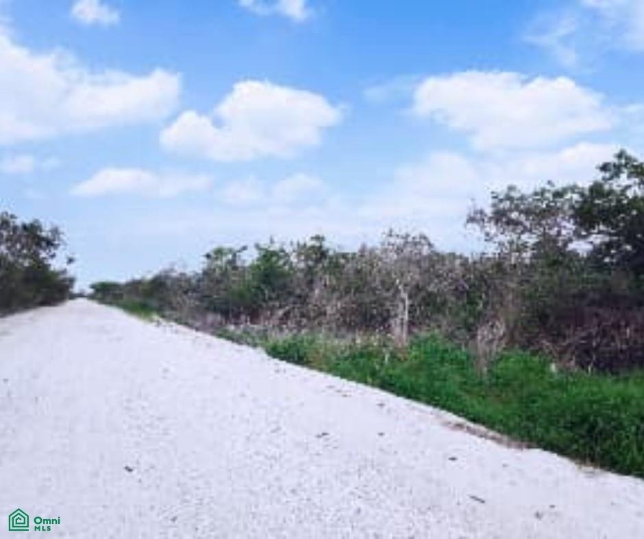 Land in Komchen, Yucatan, Mexico 3 - 18030331