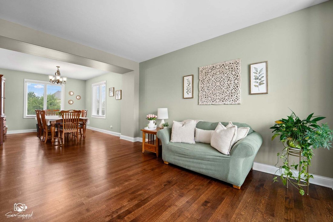 House in New Lenox, Illinois, United States 5 - 18676356