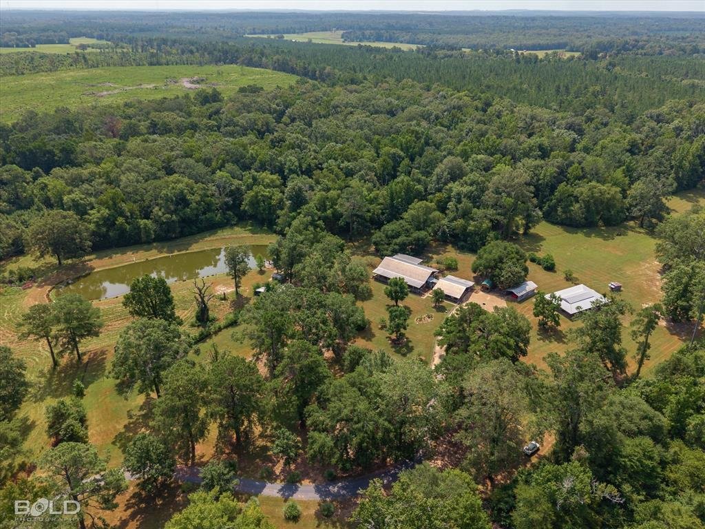 Farm Ranch in Mansfield, Louisiana, United States 1 - 18677191