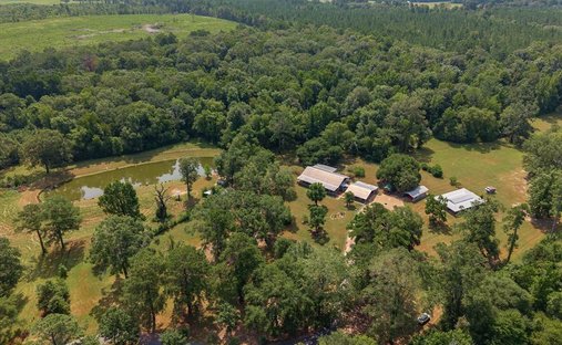 Farm Ranch in Mansfield, Louisiana, United States 1