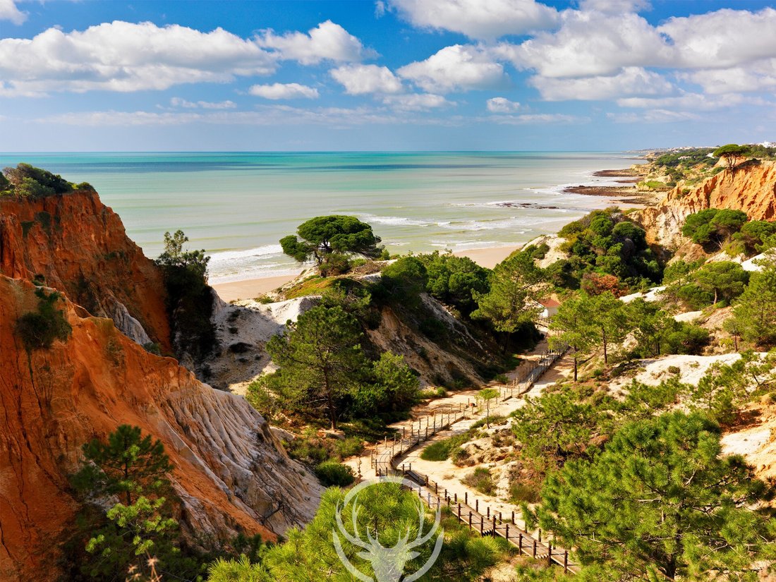 Apartment in Olhos de Agua, Algarve, Portugal 2 - 18436290
