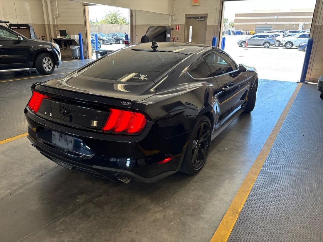 Coupe in Buford, GA, United States 2 - 18678207