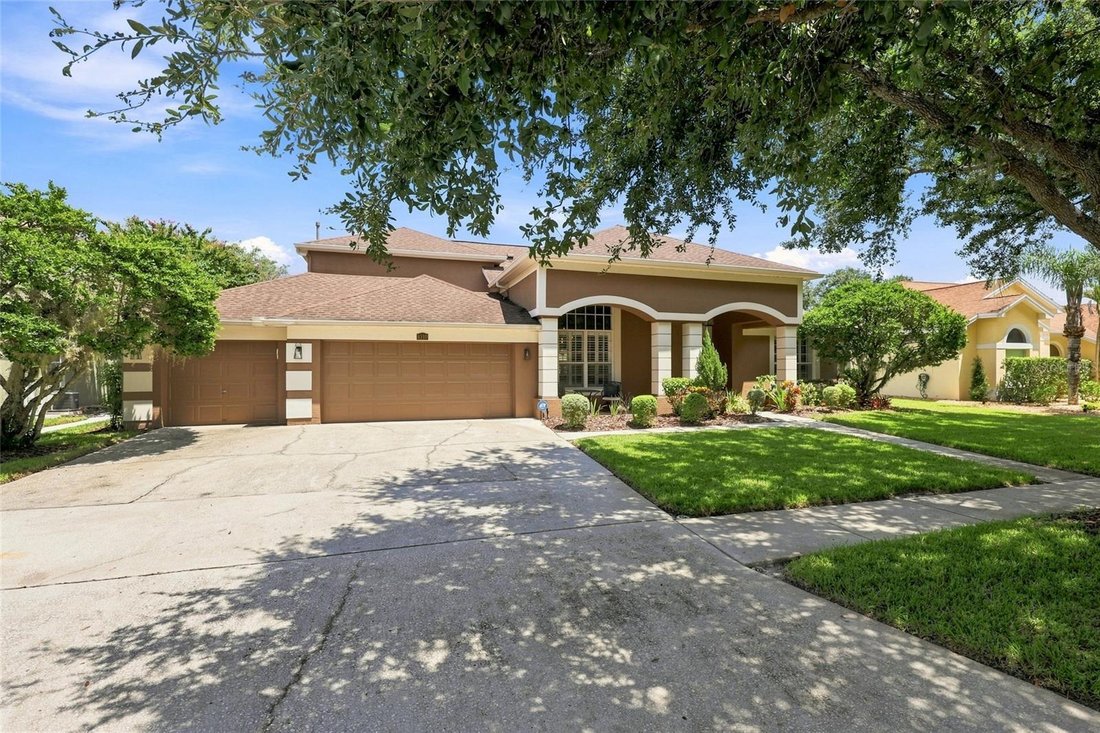 House in Tampa, Florida, United States 1 - 18675960