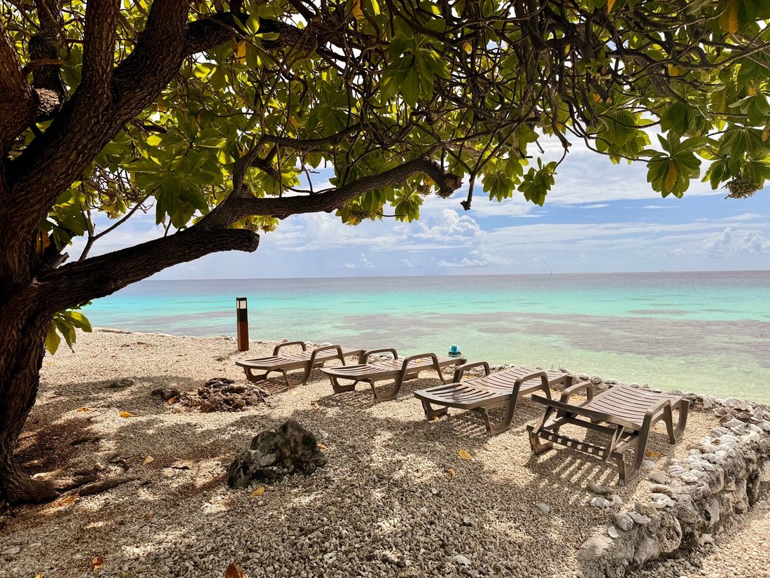 House in Fakarava Atoll, The Tuamotu and Gambier Islands, French Polynesia 4 - 18675655