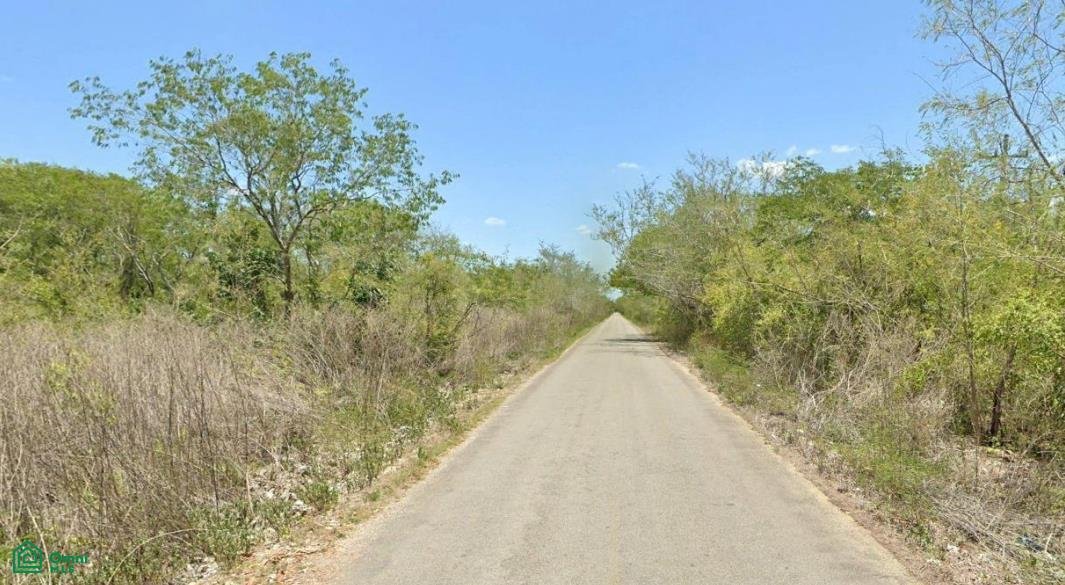 Terrain à Oxholón, Yucatán, Mexique 1 - 17810831