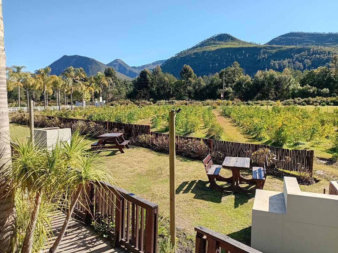 Farm Ranch in Braamfontein, Gauteng, South Africa 5 - 18676108