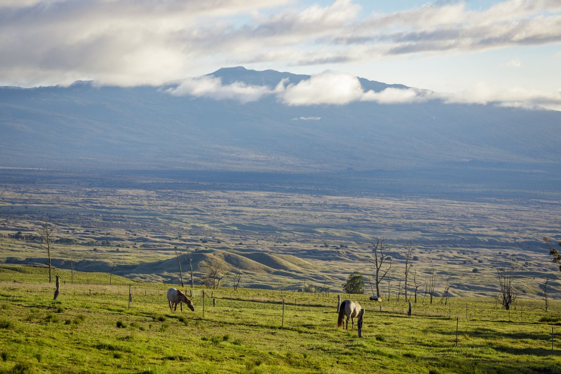Land in Waimea, Hawaii, United States 3 - 18678476