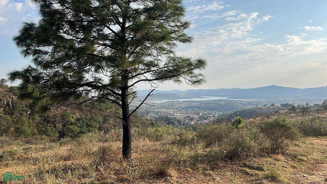Land in Tapalpa, Jalisco, Mexico 1 - 17810823