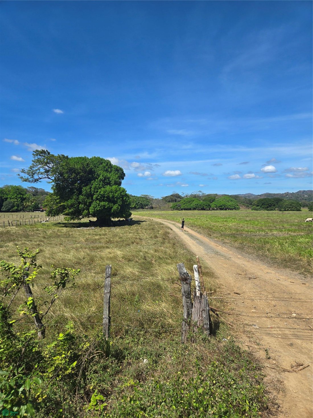 Terrain à Tamarindo, Santa Cruz, Costa Rica 3 - 17979080