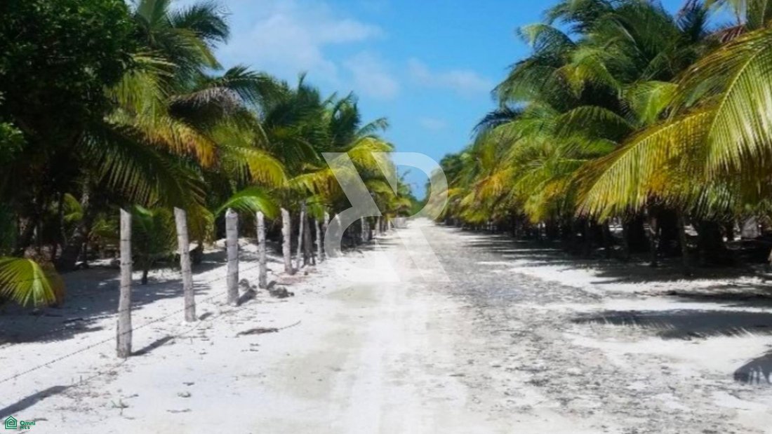 Land in El Uvero, Quintana Roo, Mexico 3 - 17871274