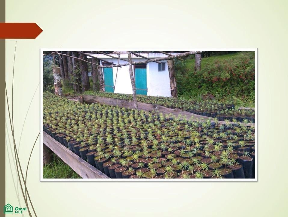 Terreno in Las Vigas de Ramírez, Veracruz, Messico 2 - 17810830