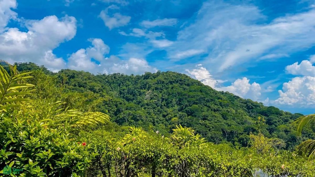 Casa en Tortuga Arriba, Provincia de Puntarenas, Costa Rica 3 - 17746116
