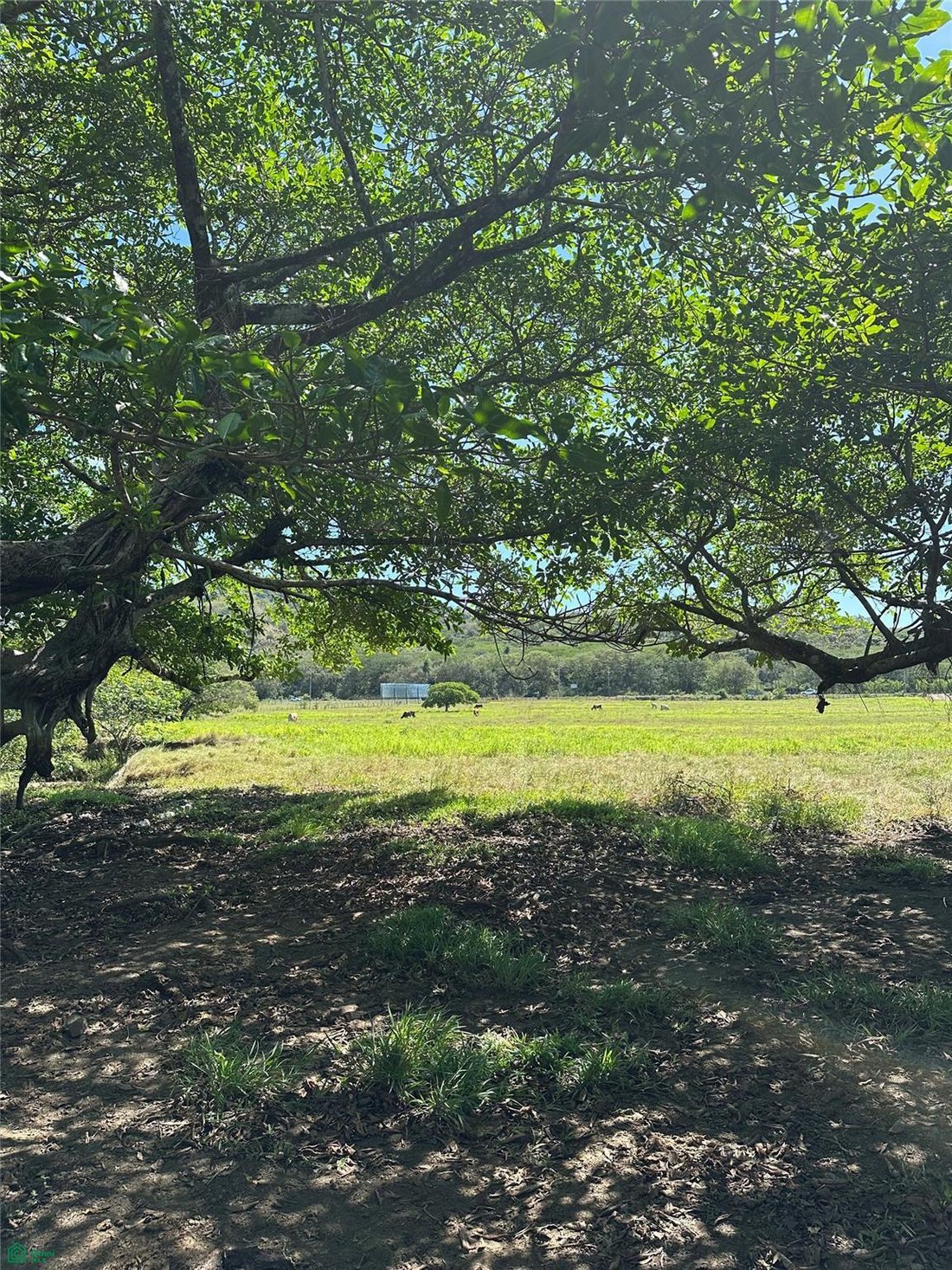 Terrain à Tamarindo, Santa Cruz, Costa Rica 5 - 17979080