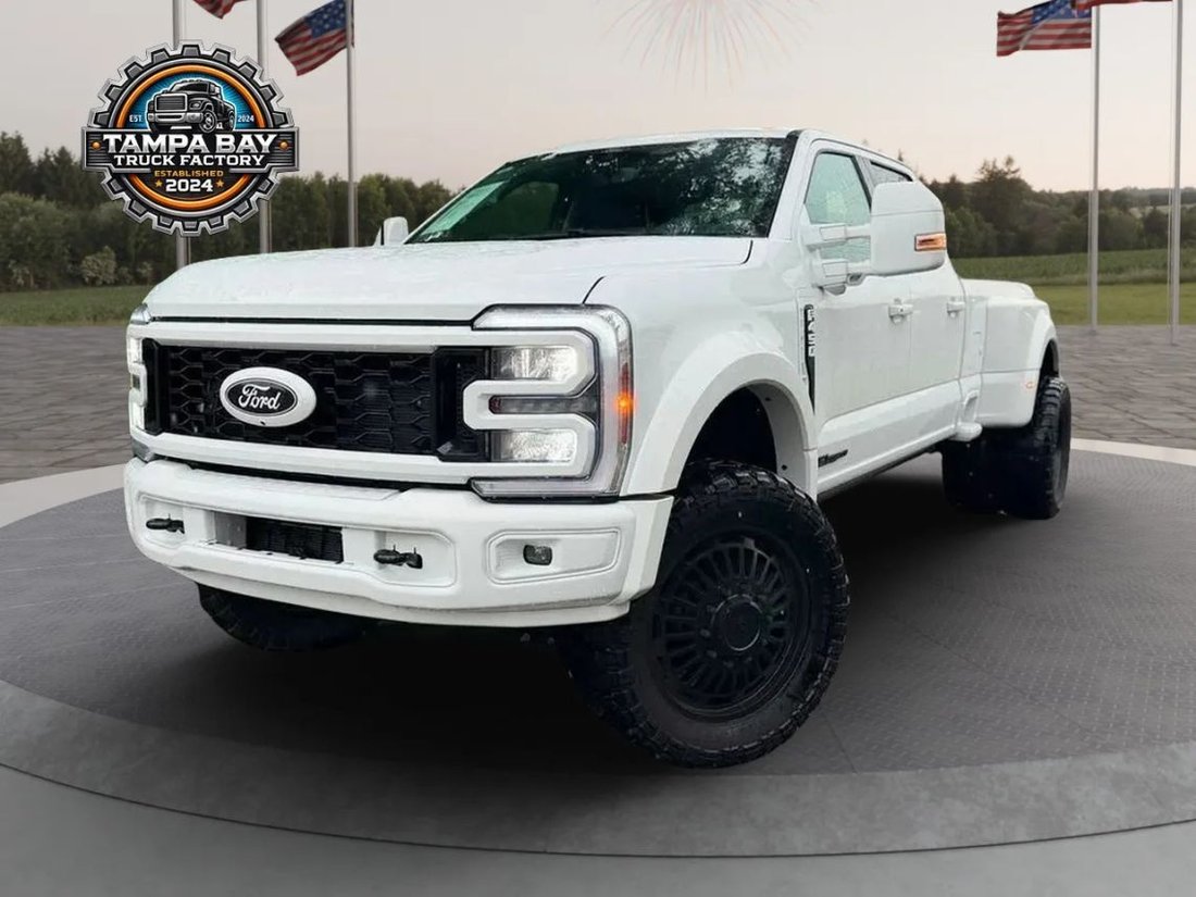 Pickup in Tampa, FL, United States 4 - 18424573