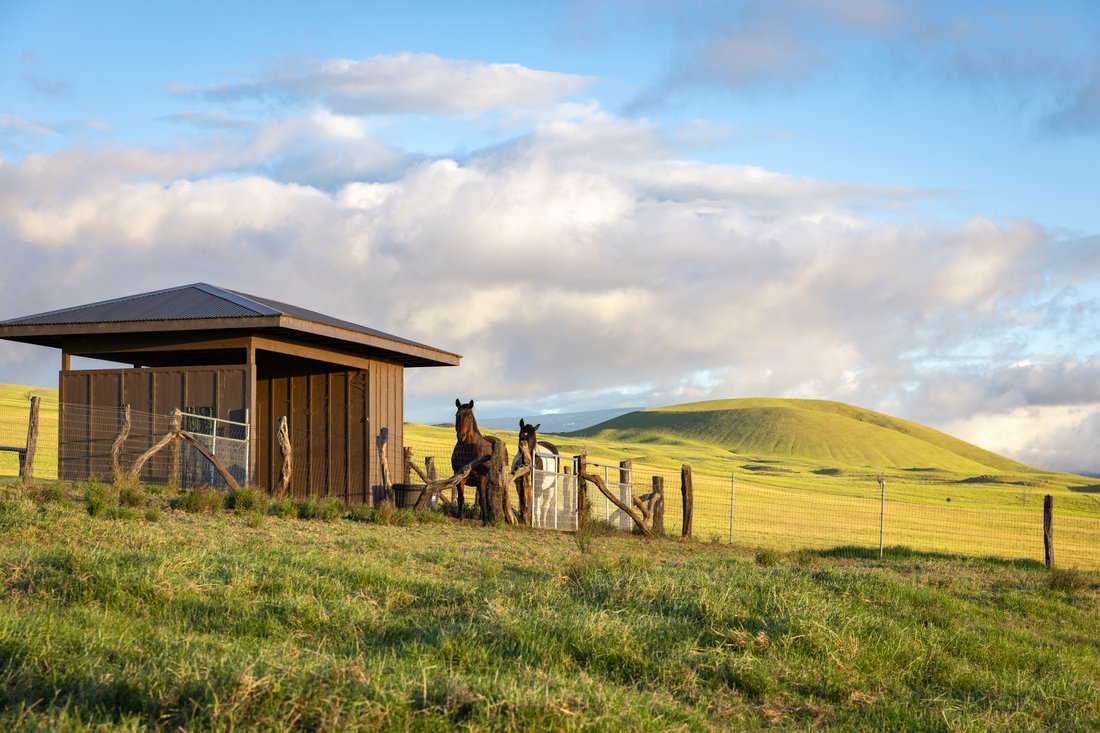 Land in Waimea, Hawaii, United States 4 - 18678476