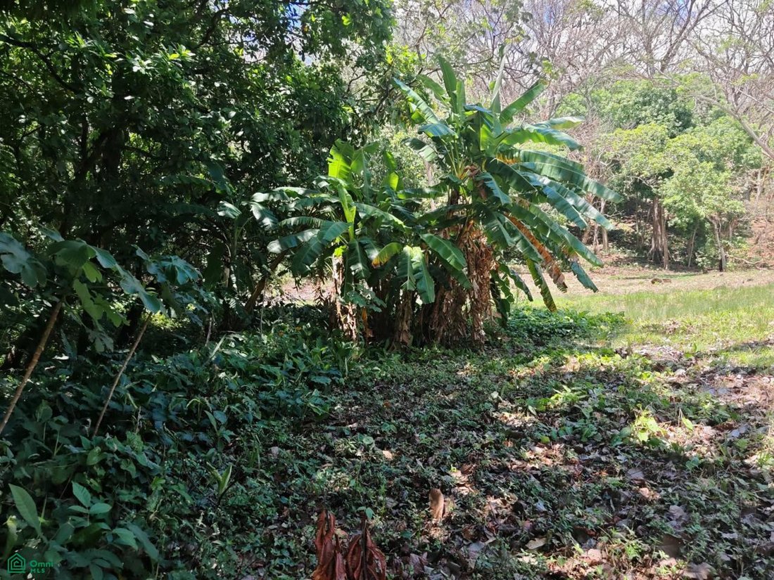 Land in Concepción, Guanacaste Province, Costa Rica 2 - 17815159