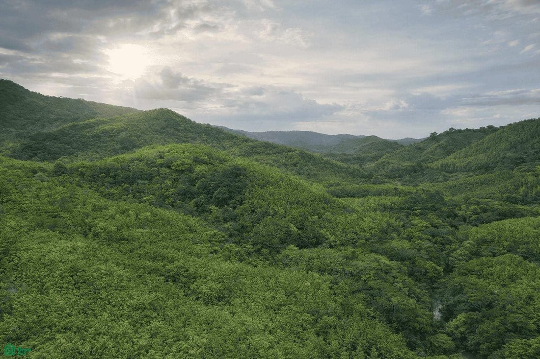 Land in Estrada, Guanacaste Province, Costa Rica 2 - 18232125