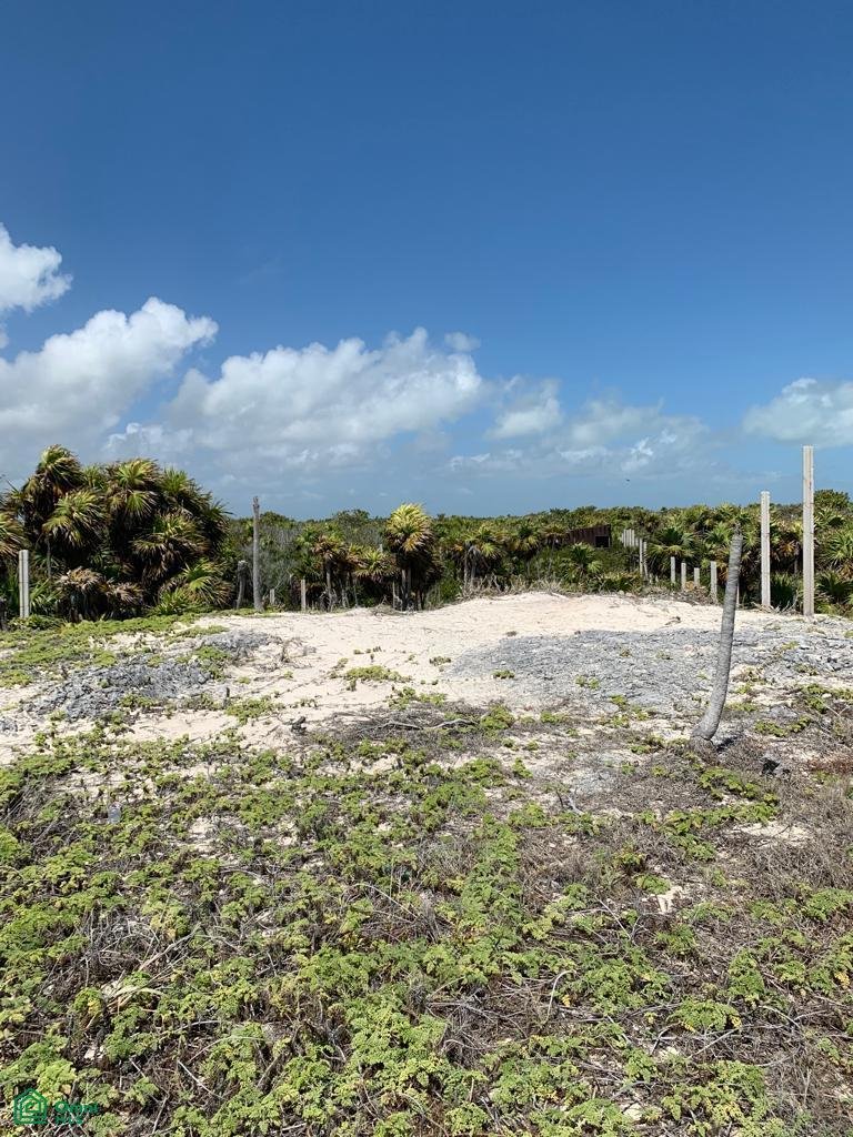 Land in Isla Blanca, Quintana Roo, Mexico 5 - 18208169