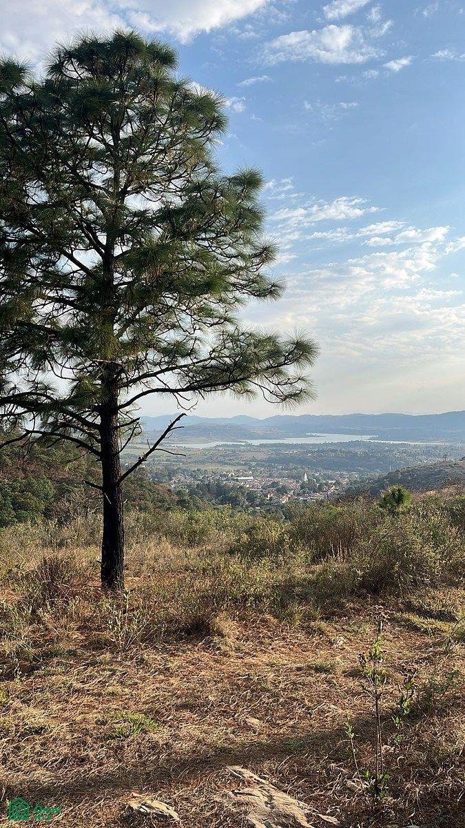 Land in Tapalpa, Jalisco, Mexico 3 - 17810823