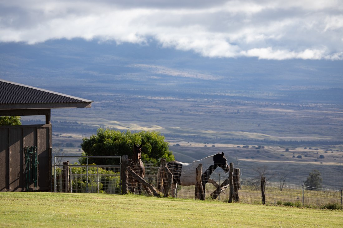 Land in Waimea, Hawaii, United States 2 - 18678476