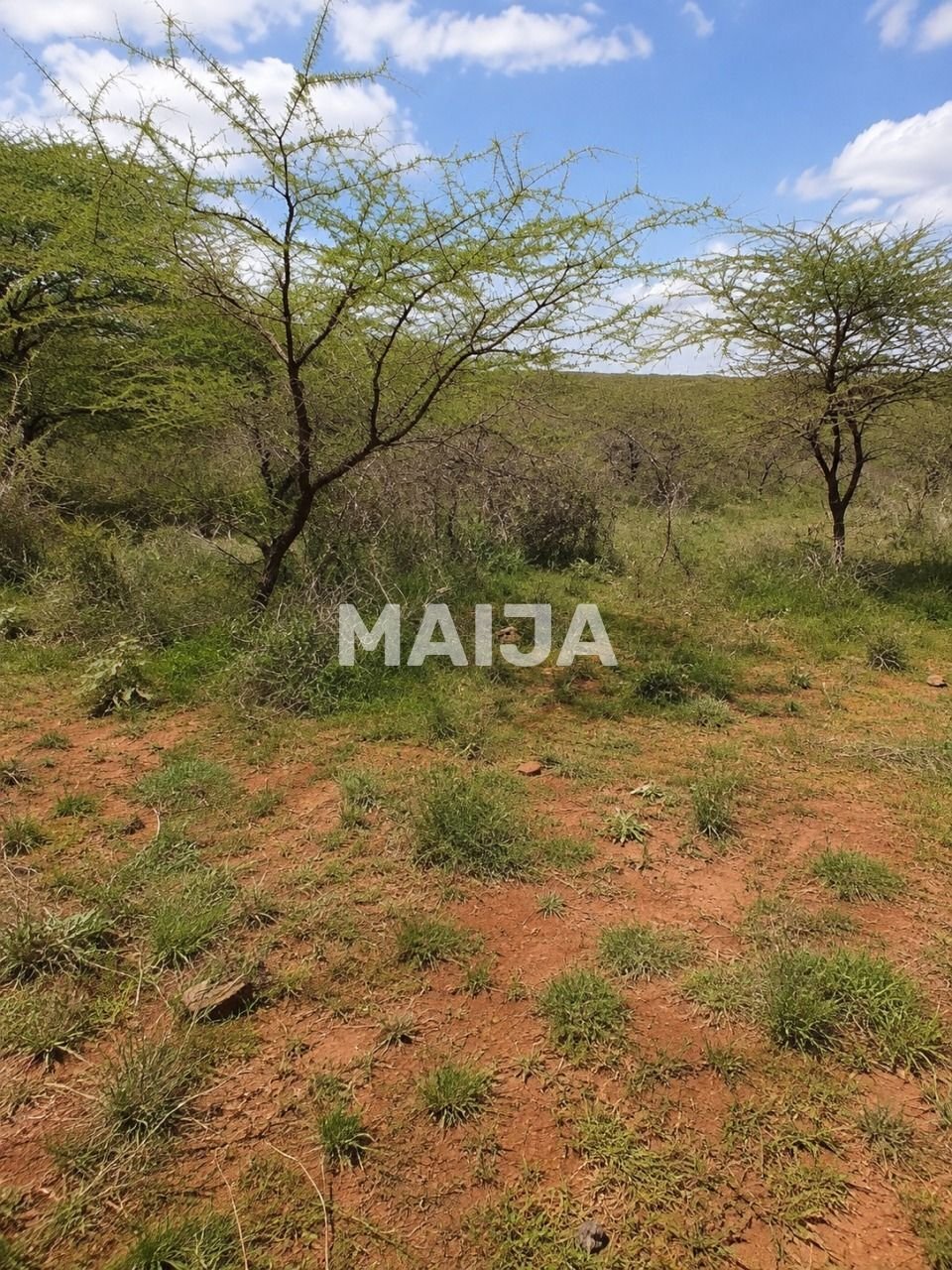 Land in Bisil, Kajiado County, Kenya 5 - 18675715