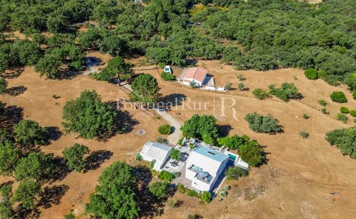 Finca in Ribeira de Nisa, Portalegre District, Portugal 1