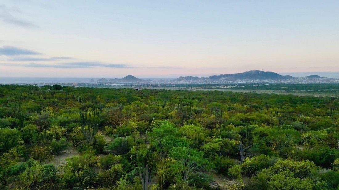 Land in Cabo San Lucas, Baja California Sur, Mexico 2 - 18677452