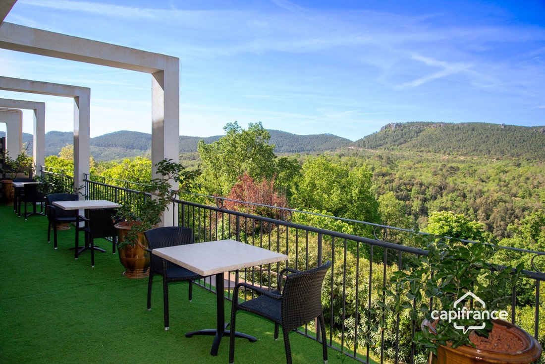 Villa in Bagnols-en-Forêt, Provence-Alpes-Côte d'Azur, France 3 - 16934031