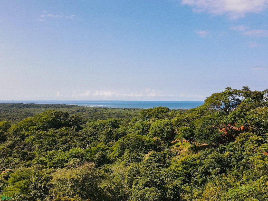 Land in Tamarindo, Guanacaste Province, Costa Rica 1 - 17811379